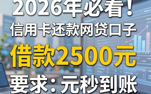 2026年必看！5个信用卡还款的网贷口子，借款2500元秒到账