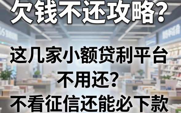 欠钱不还攻略?这几家小额贷款平台号称不用还,不看征信还能必下款