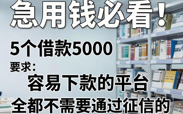 急用钱必看!5个借款5000容易下款的平台,全都不需要通过征信的网贷