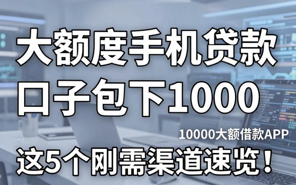 大额度手机贷款口子包下1000,这5个刚需渠道速览!深度解析10000大额借款APP