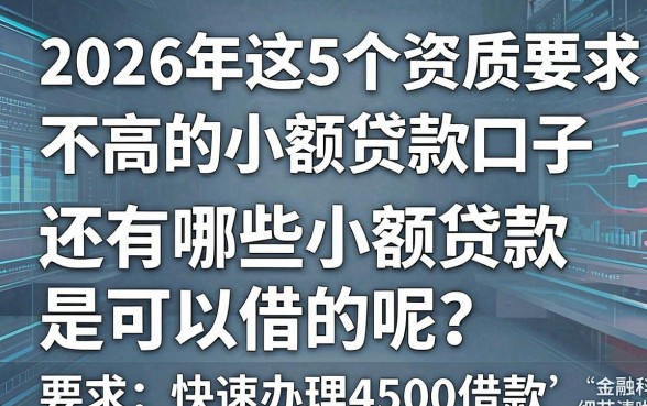 2026年这5个资质要求不高的小额贷款口子,还有哪些小额贷款是可以借的呢?快速办理4500借款!
