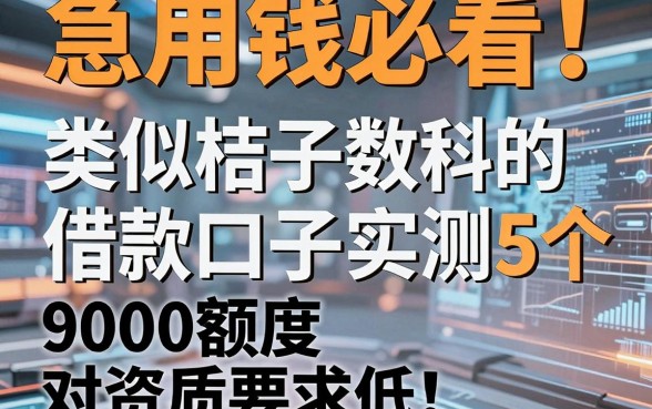 急用钱必看！类似桔子数科的借款口子实测5个，9000额度对资质要求低
