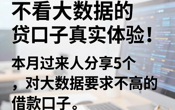 不看大数据的贷口子真实体验!本月过来人分享5个对大数据要求不高的借款口子