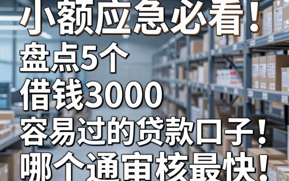 小额应急必看!盘点5个借钱3000容易过的贷款口子,哪个通过审核最快?