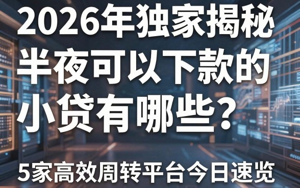 2026年独家揭秘:半夜可以下款的小贷有哪些?5家高效周转平台今日速览