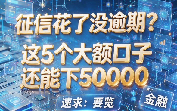 征信花了没逾期?这5个大额口子还能下50000,速览!
