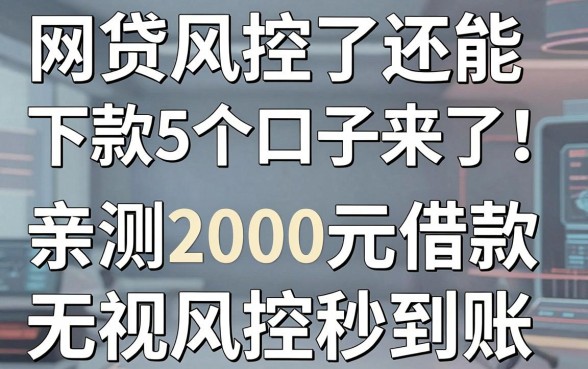 网贷风控了还能下款的5个口子来了!亲测2000元借款无视风控秒到账