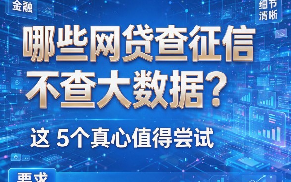 哪些网贷查征信不查大数据?这5个真心值得尝试!