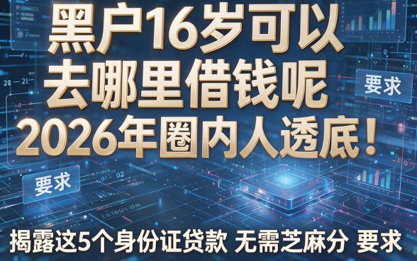 黑户16岁可以去哪里借钱呢2026年圈内人透底！揭露这5个身份证贷款无需芝麻分