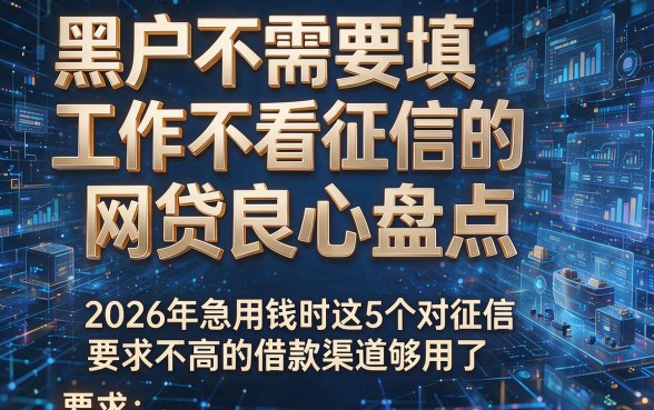 黑户不需要填工作不看征信的网贷良心盘点，2026年急用钱时这5个对征信要求不高的借款渠道够用了