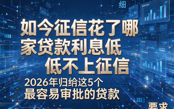 如今征信花了哪家贷款利息低低不上征信，2026年归纳这5个最容易审批的贷款