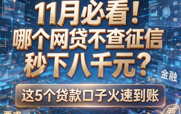 11月必看！哪个网贷不查征信秒下八千元？这5个贷款口子火速到账