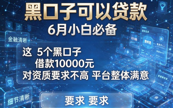 黑口子可以贷款6月小白必备,这5个黑口子借款10000元对资质要求不高平台整体满意