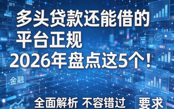 多头贷款还能借的平台正规2026年盘点这5个!全面解析不容错过!