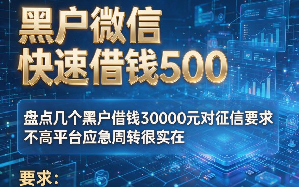 黑户微信快速借钱500，盘点几个黑户借钱30000元对征信要求不高平台应急周转很实在