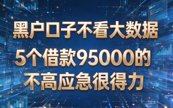 黑户口子不看大数据,5个借款95000的app要求不高应急很得力
