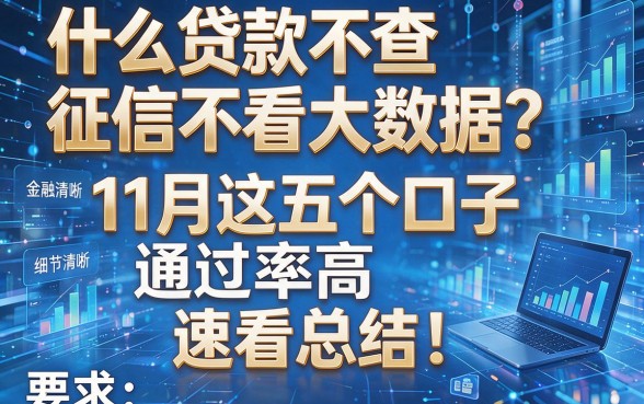 什么贷款不查征信不看大数据?11月这五个口子通过率高,速看总结!