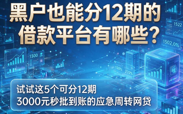 黑户也能分12期的借款平台有哪些？试试这5个可分12期、3000元秒批到账的应急周转网贷