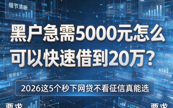 黑户急需5000元怎么可以快速借到20万？2026这5个秒下网贷不看征信真能选！