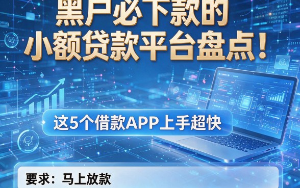 黑户必下款的小额贷款平台盘点!这5个借款APP上手超快,马上放款