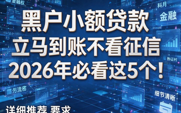 黑户小额贷款立马到账不看征信2026年必看这5个!详细推荐在此!