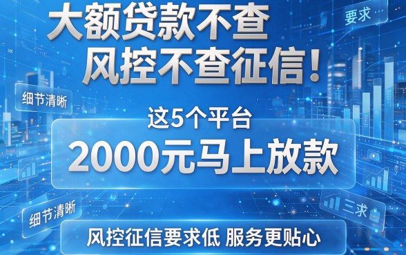 大额贷款不查风控不查征信!这5个平台2000元马上放款,风控征信要求低服务更贴心