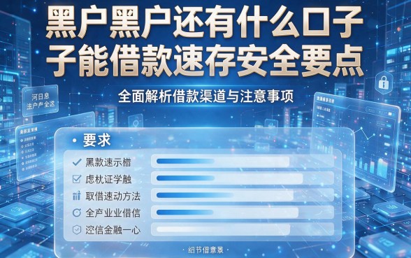 黑户黑户还有什么口子能借款速存安全要点,全面解析借款渠道与注意事项
