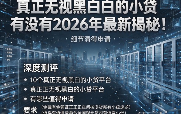 真正无视黑白的小贷有没有2026年最新揭秘！深度测评10个真正无视黑白的小贷平台有哪些值得申请