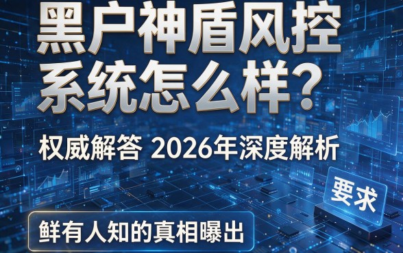 黑户神盾风控系统怎么样?权威解答2026年深度解析,鲜有人知的真相曝光
