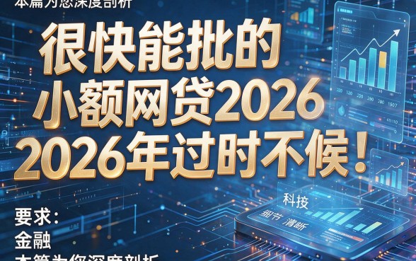 很快能批的小额网贷2026年过时不候！本篇为您深度剖析！