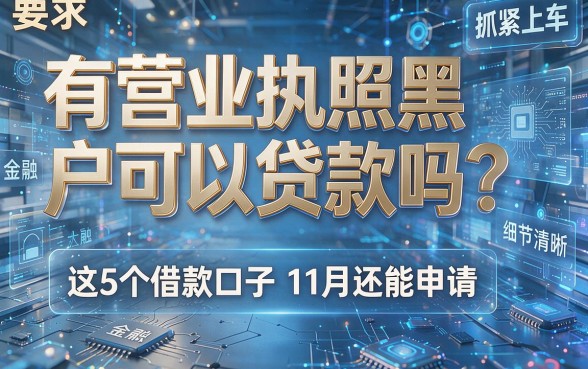 有营业执照黑户可以贷款吗?这5个借款口子11月还能申请,抓紧上车!