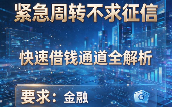 紧急周转不求征信,快速借钱通道全解析!