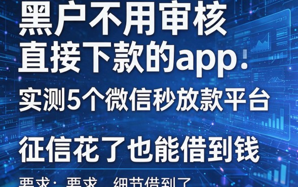 黑户不用审核直接下款的app:实测5个微信秒放款平台,征信花了也能借到钱