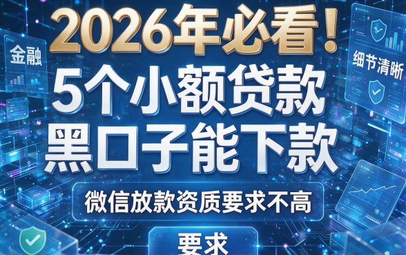2026年必看!5个小额贷款黑口子能下款,微信放款资质要求不高