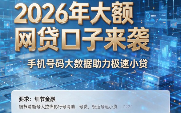2026年大额网贷口子来袭，手机号码大数据助力极速小贷