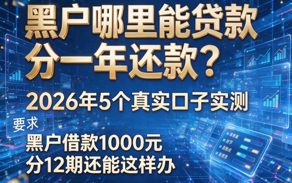黑户哪里能贷款分一年还款?2026年5个真实口子实测,黑户借款1000元分12期还能这样办!