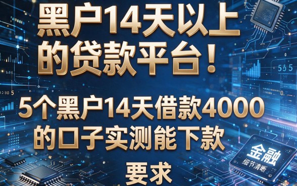 黑户14天以上的贷款平台!5个黑户14天借款4000的口子实测能下款