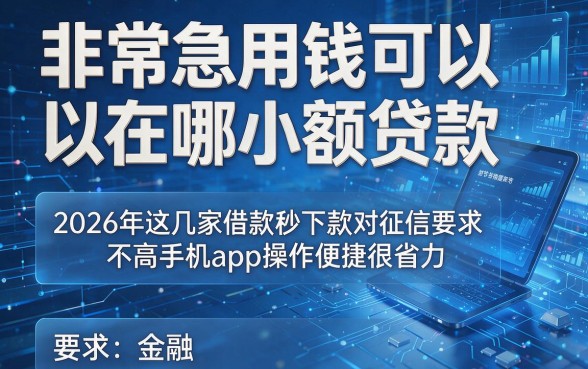 非常急用钱可以在哪小额贷款，2026年这几家借款秒下款对征信要求不高手机app操作便捷很省力
