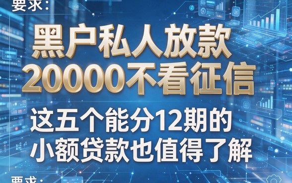 黑户私人放款20000不看征信,这五个能分12期的小额贷款也值得了解