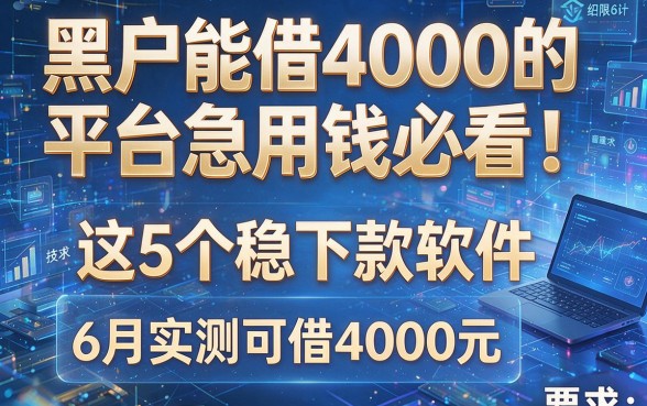 黑户能借4000的平台急用钱必看!这5个稳下款软件6月实测可借4000元