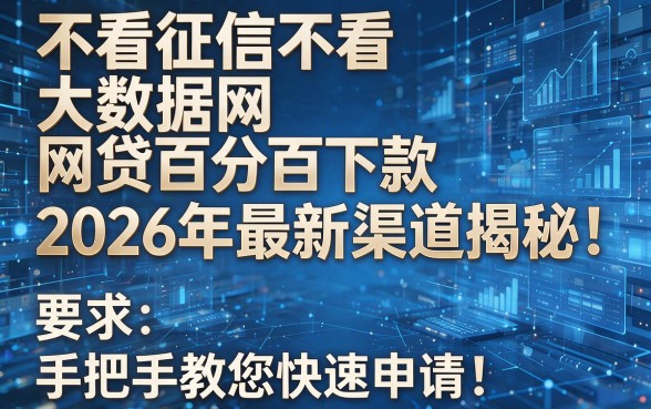 不看征信不看大数据网贷百分百下款2026年最新渠道揭秘!手把手教您快速申请!