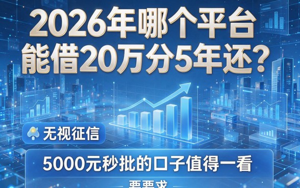 2026年哪个平台能借20万分5年还?这几家无视征信、5000元秒批的口子值得一看