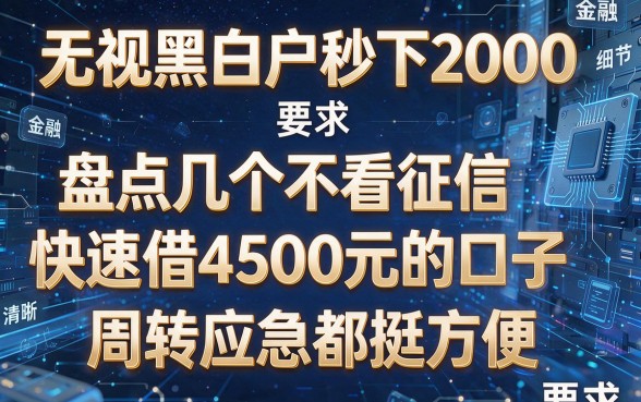 无视黑白户秒下2000,盘点几个不看征信快速借4500元的口子,周转应急都挺方便