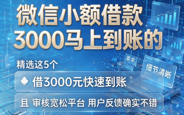 微信小额借款3000马上到账的,精选这5个借3000元快速到账且审核宽松平台用户反馈确实不错