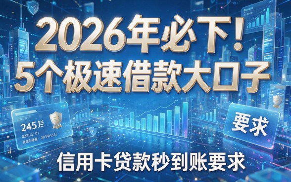 2026年必下！5个极速借款大口子，信用卡贷款秒到账