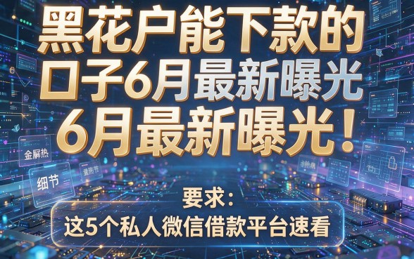 黑花户能下款的口子6月最新曝光！这5个私人微信借款平台速看