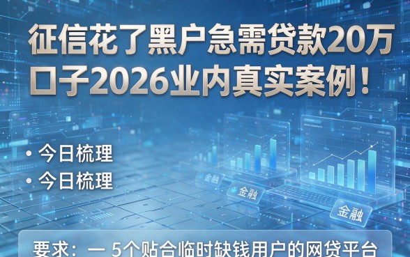征信花了黑户急需贷款20万口子2026业内真实案例！今日梳理5个贴合临时缺钱用户的网贷平台