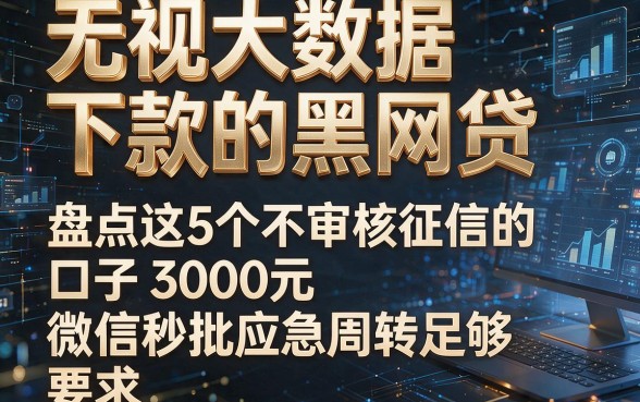 无视大数据下款的黑网贷,盘点这5个不审核征信的口子3000元微信秒批应急周转足够